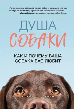 Клайв Винн Душа собаки. Как и почему ваша собака вас любит обложка книги