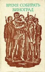 Станислав Стратиев - Время собирать виноград