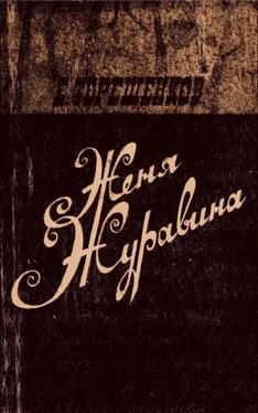 Ефим Терешенков Женя Журавина обложка книги