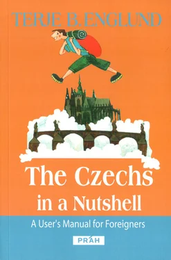 Терье Энглунд The Czechs in a Nutshell обложка книги