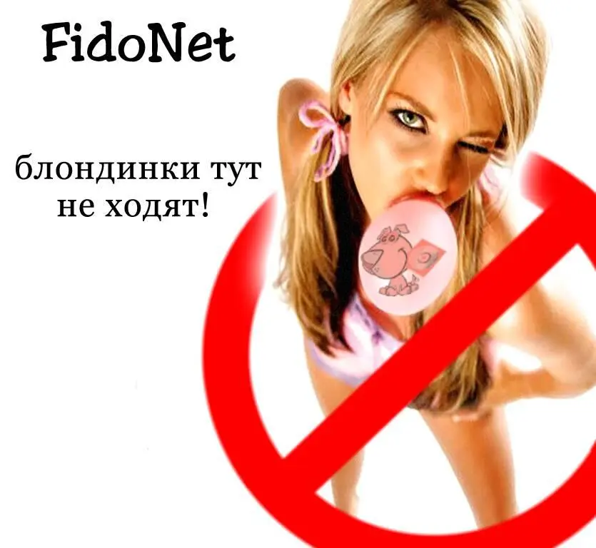 и это таки верно Подключение Чтобы сейчас подключиться к Фидо поить - фото 27