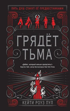 Кейти Роуз Пул Грядет Тьма [litres] обложка книги