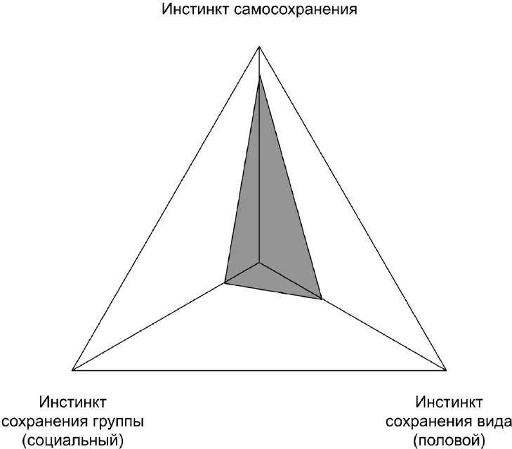Давайте рассмотрим особенности каждого типа людей Из этого сразу станет - фото 17