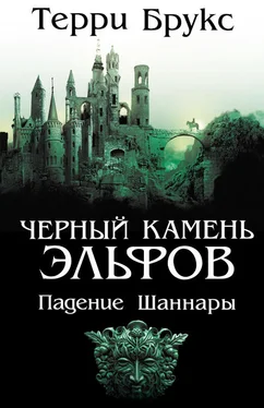 Терри Брукс Черный камень эльфов [litres] обложка книги