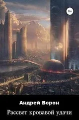 Андрей Ворон - Рассвет кровавой удачи