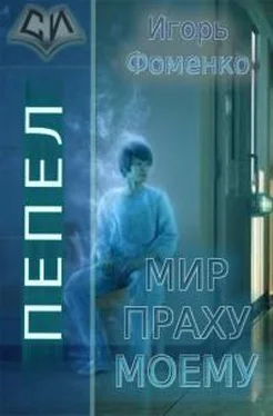 Игорь Фоменко Пепел: Мир праху моему [СИ] обложка книги