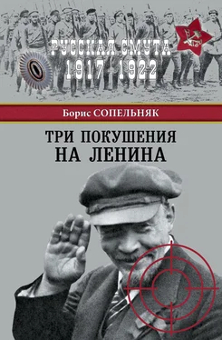 Борис Сопельняк Три покушения на Ленина [litres] обложка книги