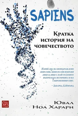 Юваль Ной Харари Sapiens. Кратка история на човечеството обложка книги