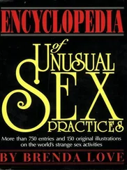 Brenda Love - Encyclopedia of Unusual Sex Practices
