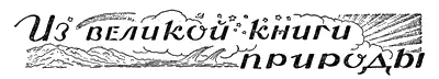 ИЗ ВЕЛИКОЙ КНИГИ ПРИРОДЫ ВЕК ЖИВОТНЫХ Еще совсем недавно люди очень мало - фото 42