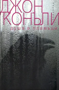 Джон Коннолли Душа в пламъци обложка книги