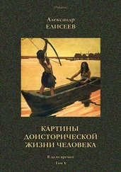Александр Елисеев - Картины доисторической жизни человека [В дали времен. Том Х]