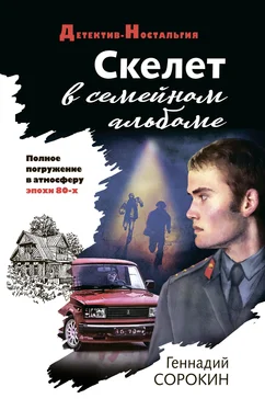 Геннадий Сорокин Скелет в семейном альбоме обложка книги