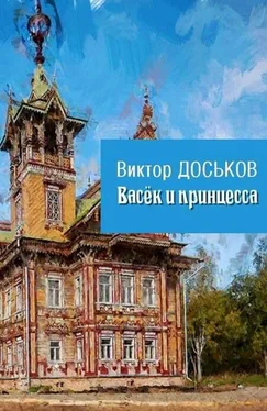 Виктор Доськов Васёк и принцесса [СИ] обложка книги