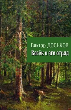 Виктор Доськов Васёк и его отряд [СИ] обложка книги