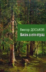 Виктор Доськов - Васёк и его отряд [СИ]