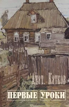 Анатолий Катков Первые уроки обложка книги