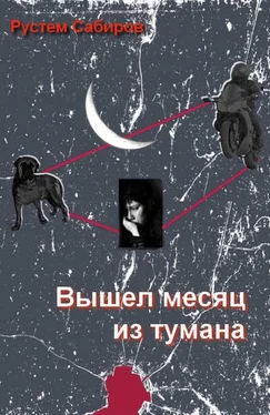 Рустем Сабиров Вышел месяц из тумана [СИ] обложка книги