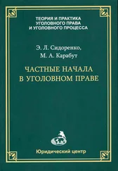 Элина Сидоренко - Частные начала в уголовном праве