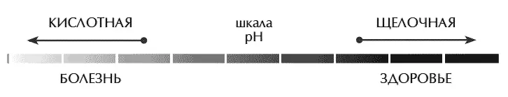 Окисление тканей организма приводит к большей уязвимости иммунной системы и - фото 9