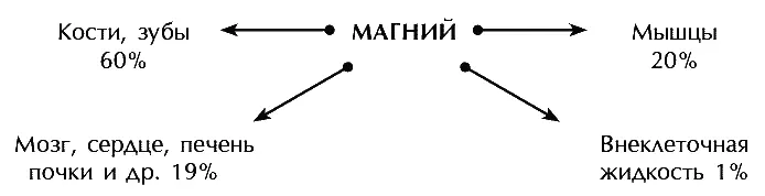 Кислая среда мочи идеальное условие для образования камней в почках это - фото 18
