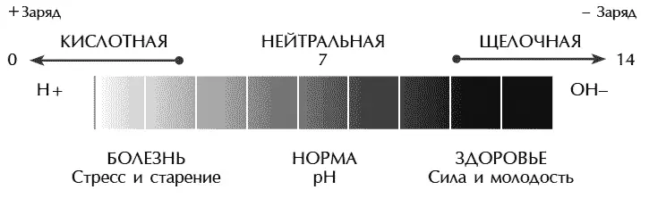 Повышение концентрации положительных ионов водорода Н в любой из жидких сред - фото 24