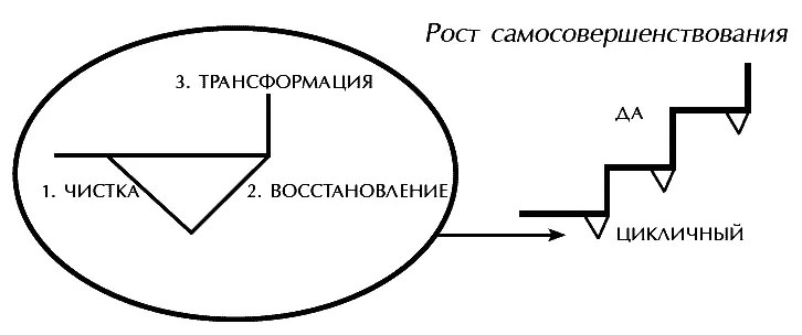 В момент чистки все наши физические и психологические слабости поднимаются на - фото 39