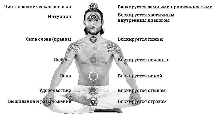 Ядро Исток Муладхараобозначается красным и отвечает за выживание Блокируется - фото 50