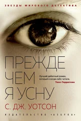 Си Джей Уотсон - Прежде чем я усну [litres]