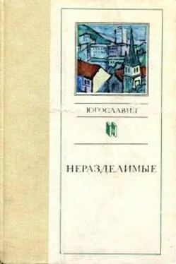 Славко Яневский Неразделимые обложка книги