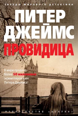 Питер Джеймс Провидица обложка книги