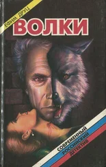 Ефим Друц - Волки