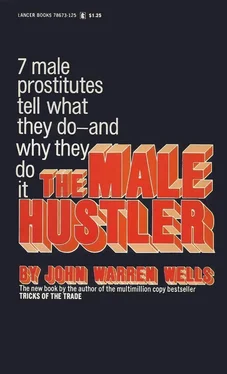 J Wells The Male Hustler обложка книги