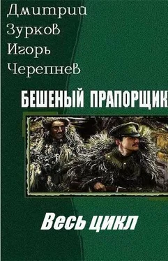 Дмитрий Зурков Бешеный прапорщик [Весь цикл в одном томе] [СИ голимый, не вычитанный, но вроде законченный] обложка книги