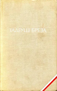 Тадеуш Бреза Валтасаров пир. Лабиринт обложка книги