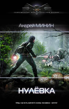 Андрей Минин Нулёвка [litres] обложка книги