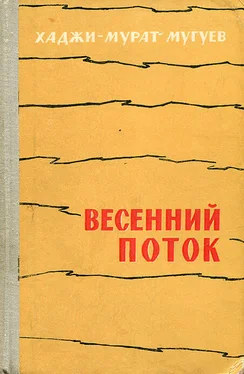 Хаджи-Мурат Мугуев Весенний поток обложка книги