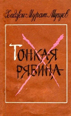 Хаджи-Мурат Мугуев Тонкая рябина обложка книги