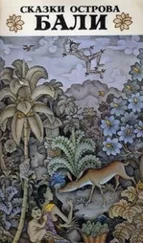 Якоба Хойкас-ван Леувен Бомкамп - Сказки острова Бали