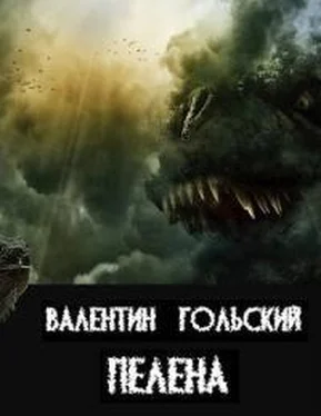 Валентин Гольский Пелена (СИ) обложка книги