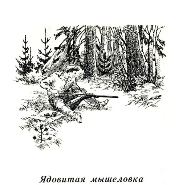 Ядовитая мышеловка Не успели мы как следует устроиться в нашей охотничьей - фото 3