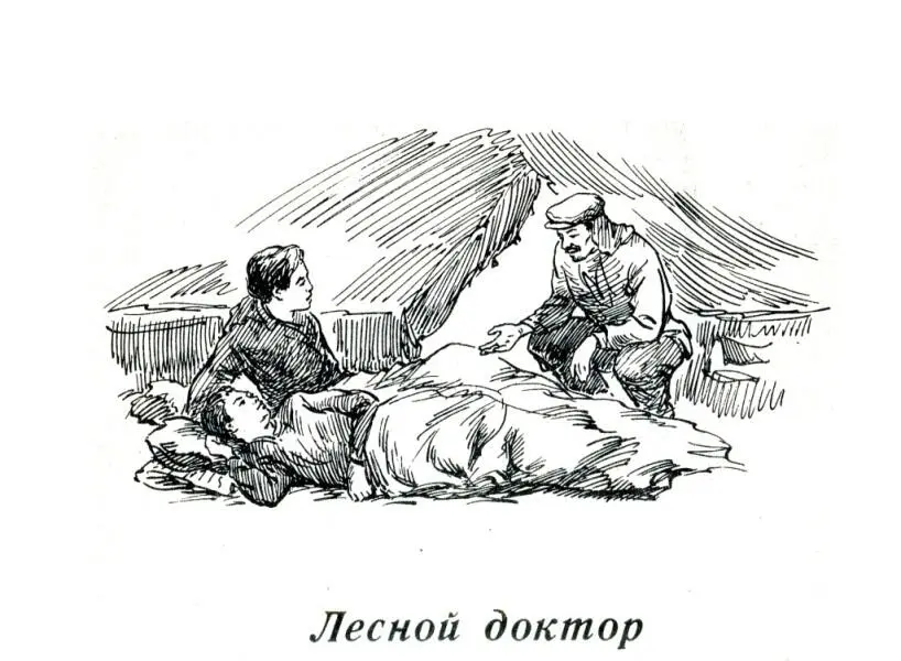 Лесной доктор Конечно собираясь в наше лесное путешествие мы захватили из - фото 7