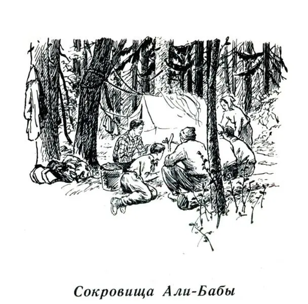 Сокровища АлиБабы Когда августовское солнце в Забайкалье пересекает - фото 11