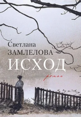 Светлана Замлелова Исход обложка книги