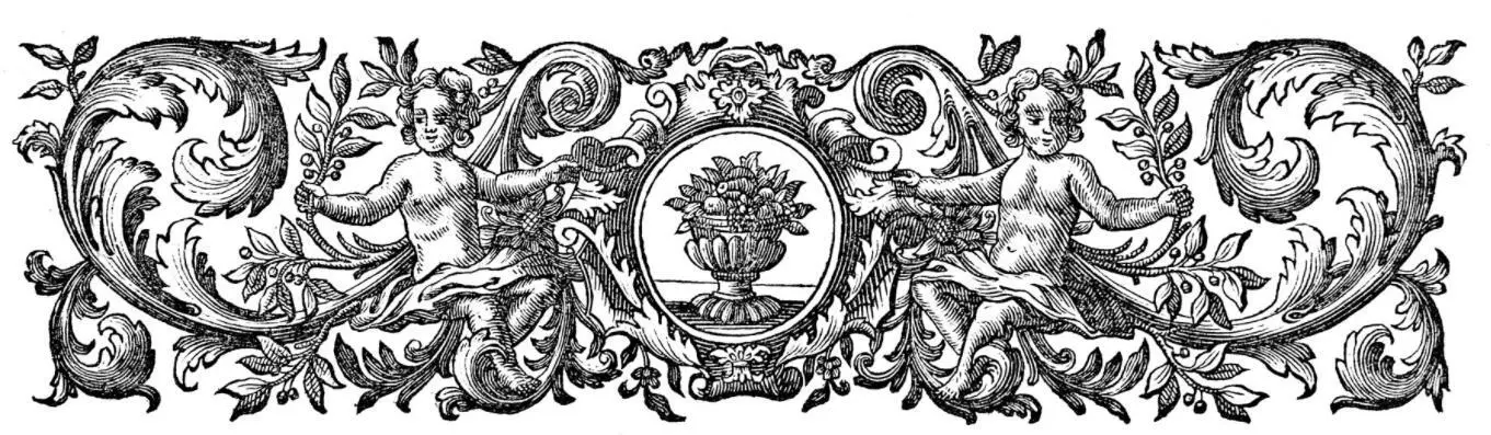 В июне 1749 года мадам дю Шатле закончила свою работу с Клеро хотя книги не - фото 23