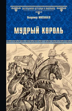 Владимир Москалев Мудрый король обложка книги