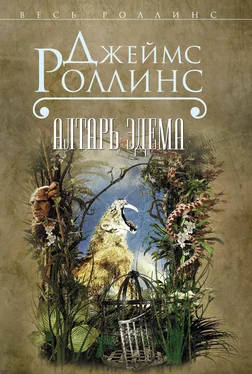 Джеймс Роллинс Алтарь Эдема [litres]