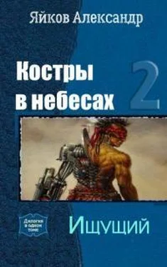 Александр Яйков Ищущий обложка книги