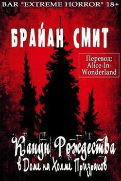 Брайан Смит Канун Рождества в Доме на Холме Призраков обложка книги