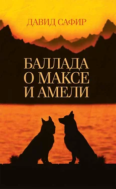 Давид Сафир Баллада о Максе и Амели [litres] обложка книги